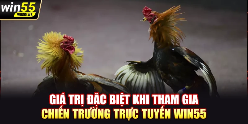 Giá trị đặc biệt khi tham gia chiến trường trực tuyến WIN55