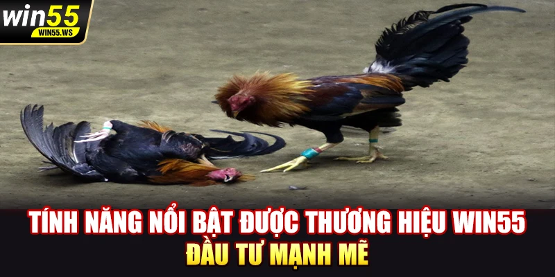 Tính năng nổi bật được thương hiệu WIN55 đầu tư mạnh mẽ